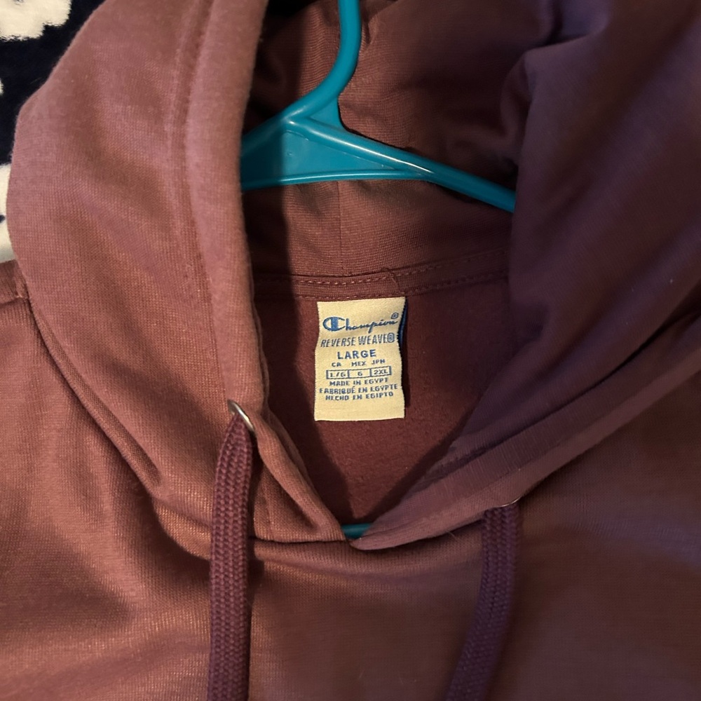 Champion cropped hoodie